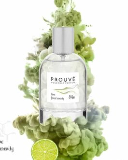 Унисекс парфюм Prouvé #04